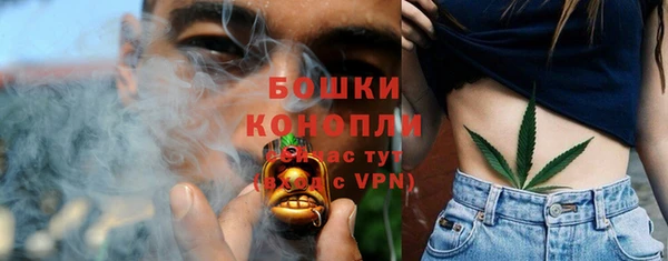 прущая мука Гусиноозёрск