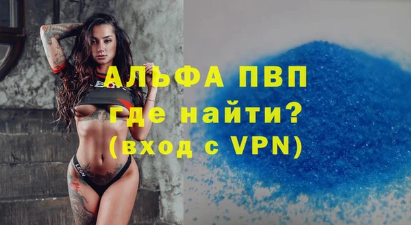 ECSTASY Гусев