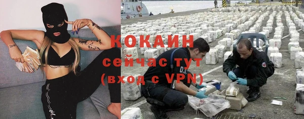 ECSTASY Гусев