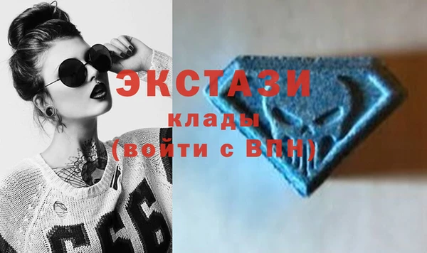 ECSTASY Гусев