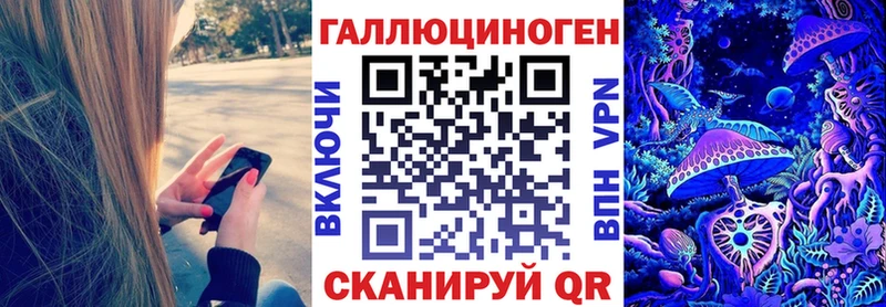 сайты даркнета состав  Ефремов  Галлюциногенные грибы Psilocybine cubensis 