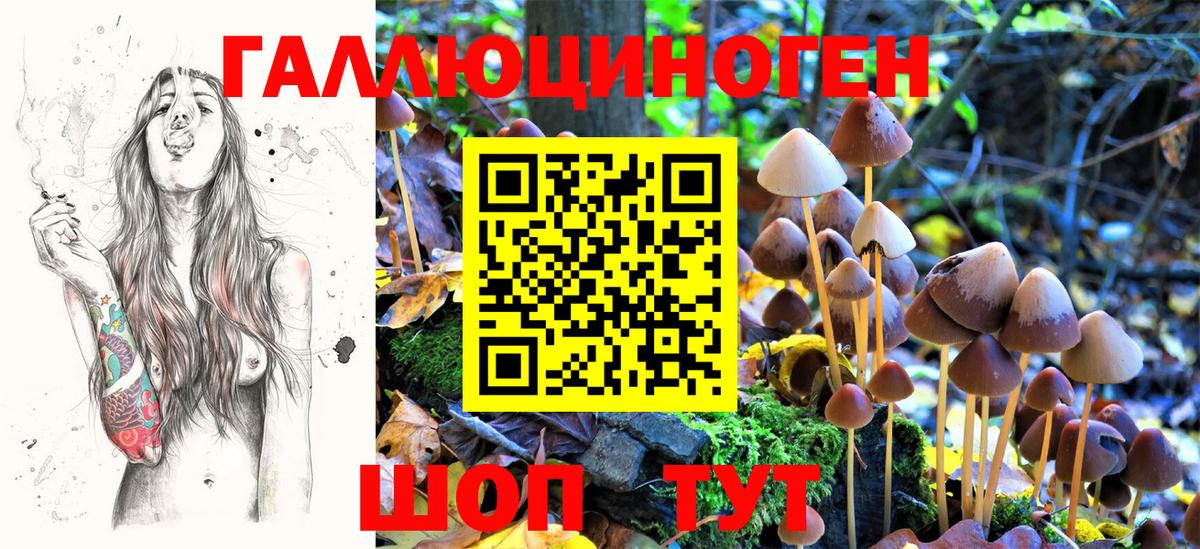 Галлюциногенные грибы ЛСД Ефремов