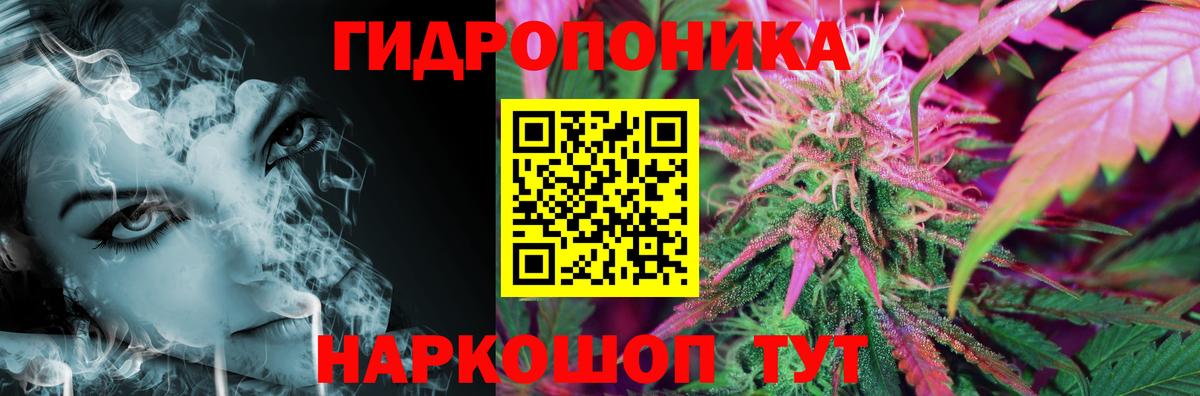 Бошки Шишки Amnesia Ефремов